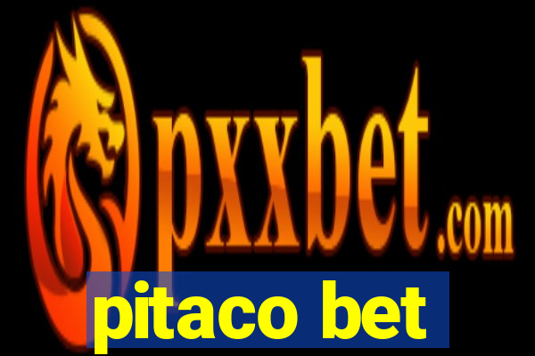 pitaco bet