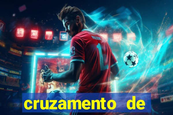 cruzamento de cavalo com mula