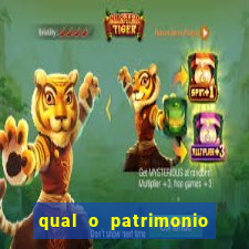 qual o patrimonio de nelson wilians