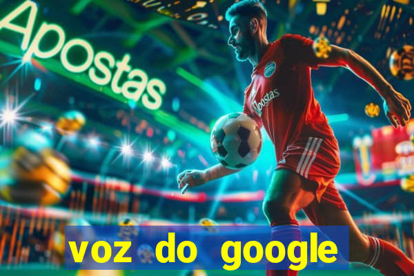 voz do google tradutor homem