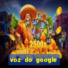 voz do google tradutor homem