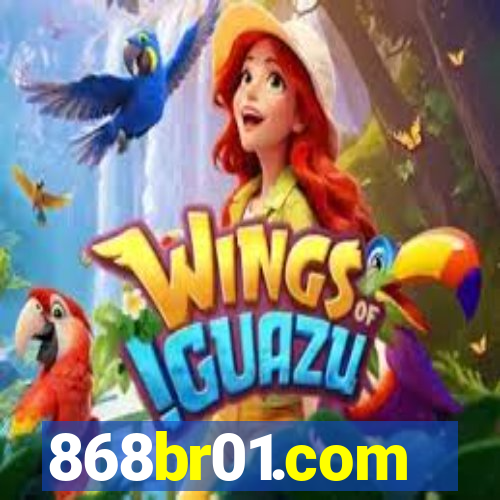 868br01.com