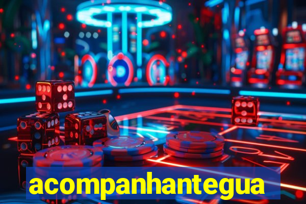 acompanhanteguanambi