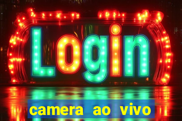 camera ao vivo terminal vila nova cachoeirinha