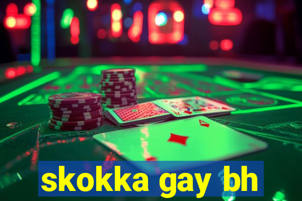 skokka gay bh