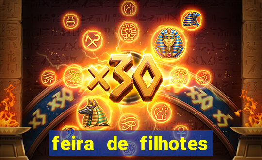 feira de filhotes porto alegre