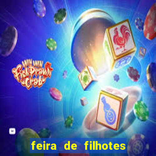 feira de filhotes porto alegre