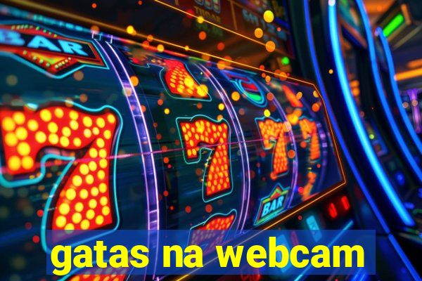 gatas na webcam