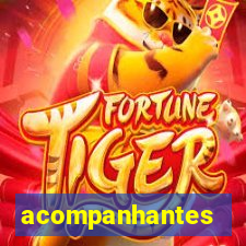 acompanhantes masculino porto velho