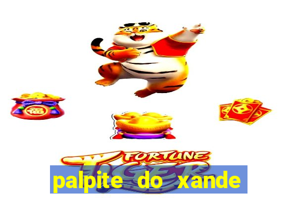 palpite do xande para hoje