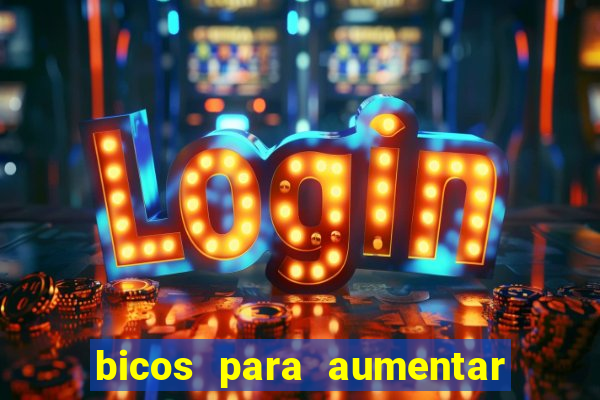 bicos para aumentar a renda