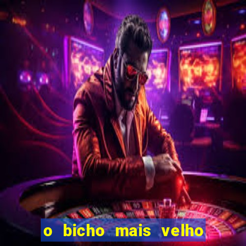 o bicho mais velho da loteria dos sonhos