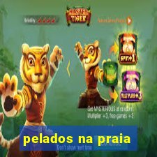 pelados na praia