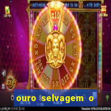ouro selvagem o que aconteceu na vida
