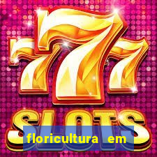 floricultura em lauro de freitas