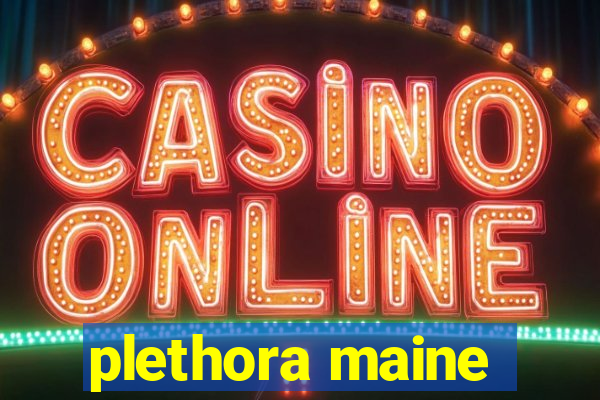 plethora maine