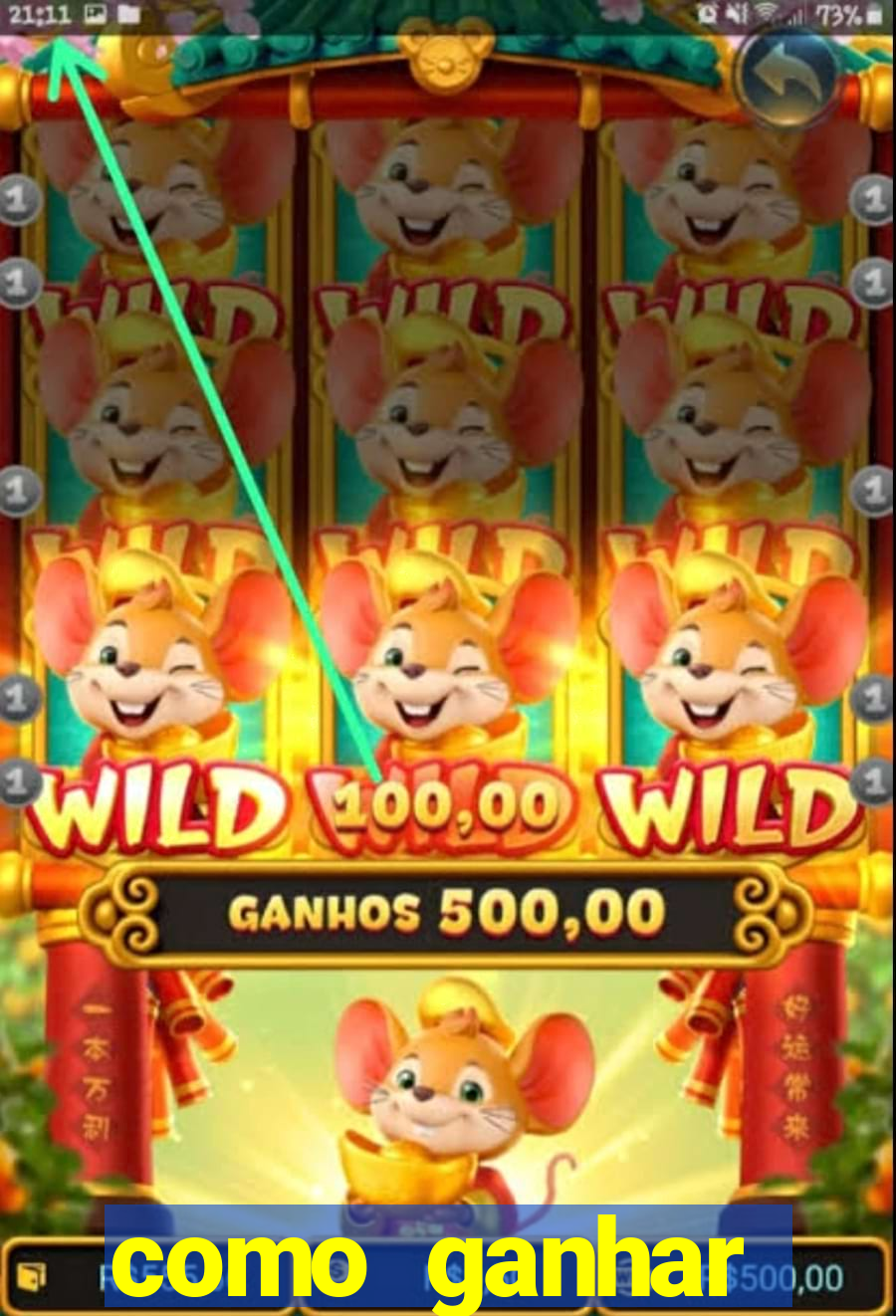 como ganhar dinheiro jogando no bicho