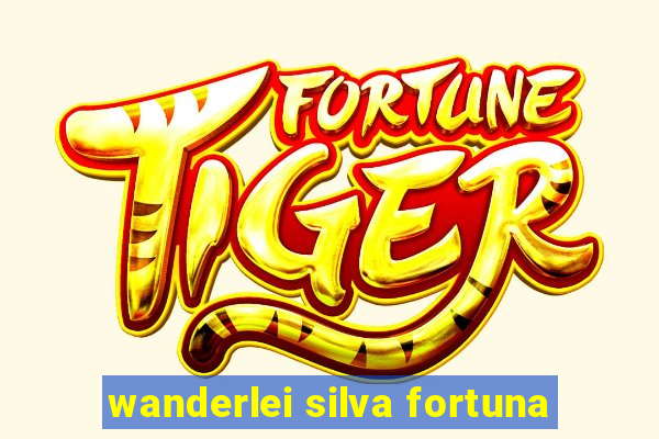 wanderlei silva fortuna