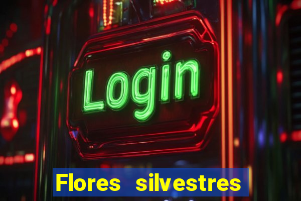 Flores silvestres brasileiras 25