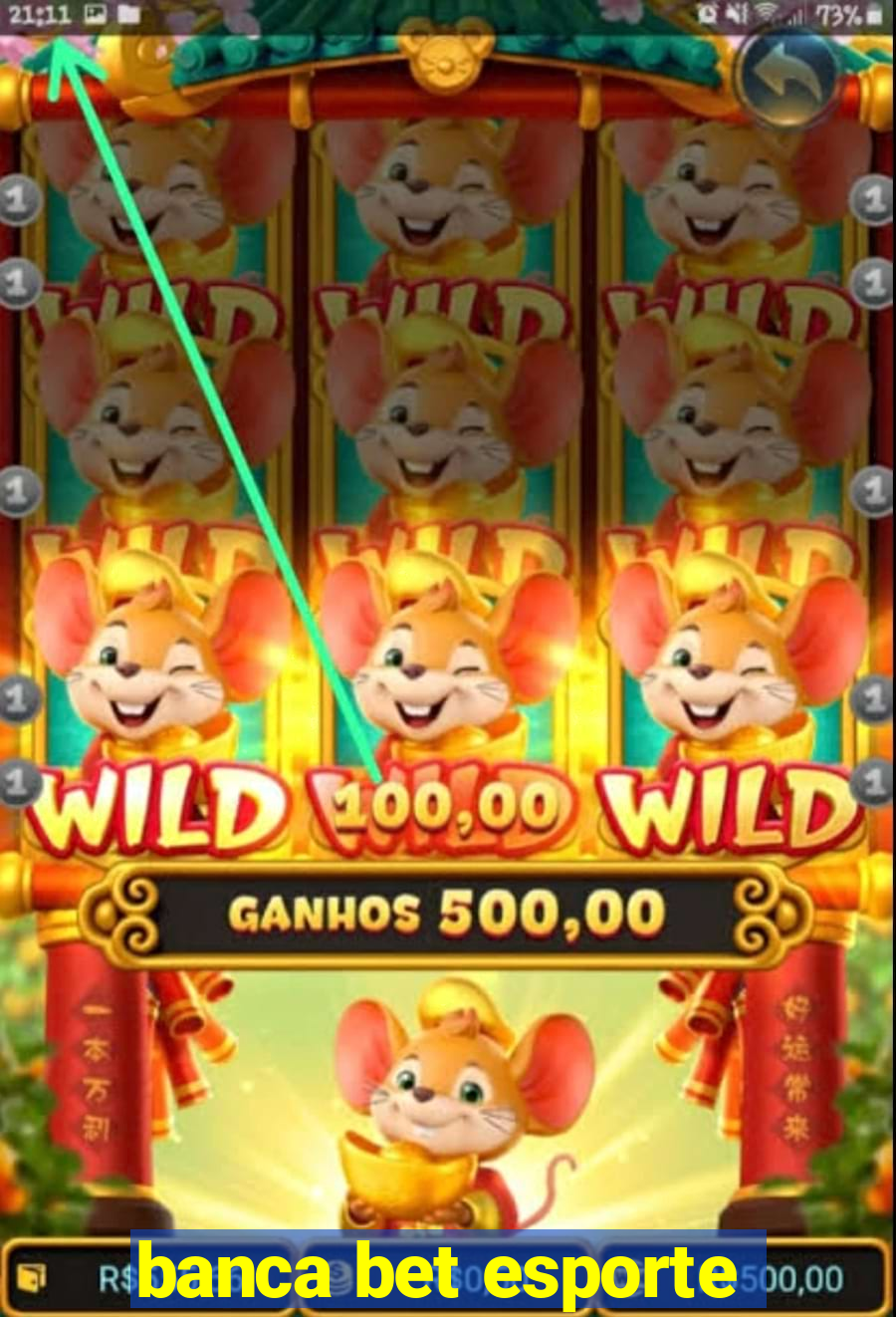 banca bet esporte