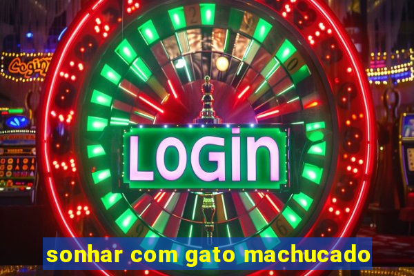 sonhar com gato machucado