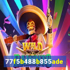 5888bet plataforma