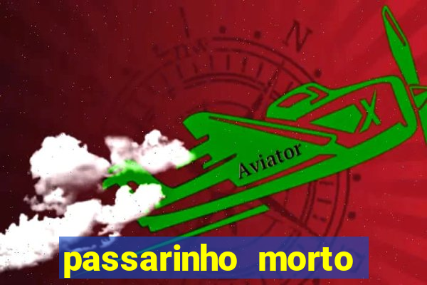 passarinho morto significado espiritual