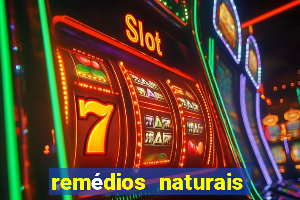 remédios naturais para diabetes