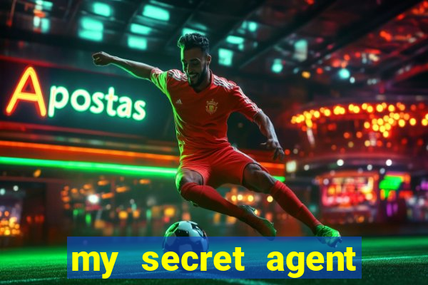 my secret agent husband legendado