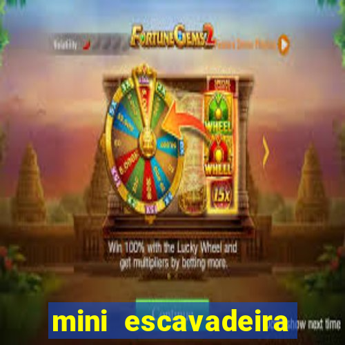mini escavadeira aluguel rj