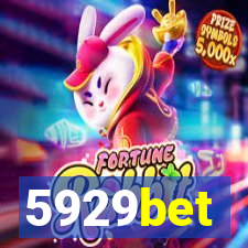 5929bet