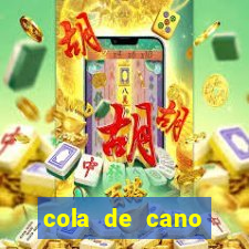 cola de cano quanto tempo para secar