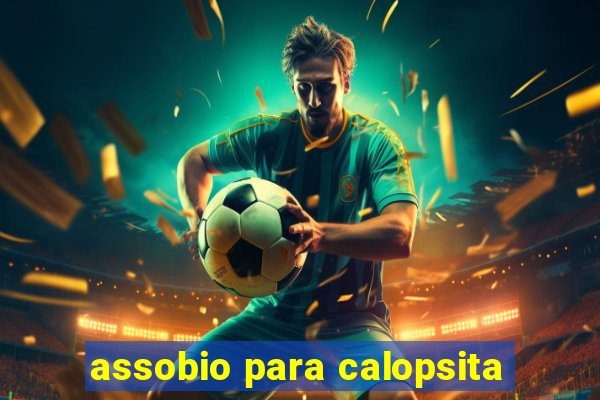 assobio para calopsita