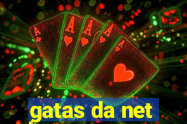 gatas da net