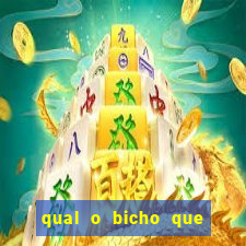 qual o bicho que vai dar hoje