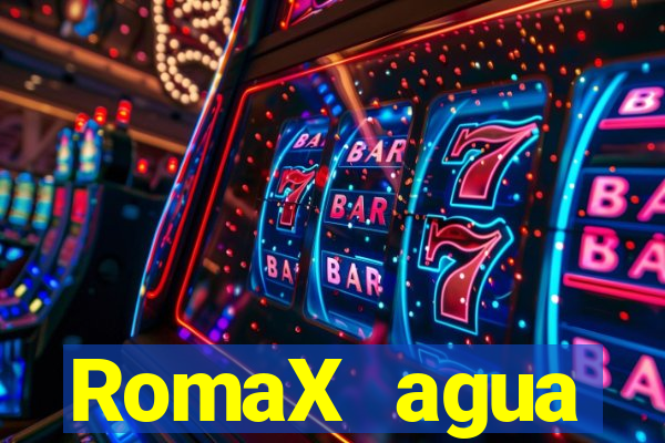 RomaX agua sanitaria fispq agua sanitaria romax
