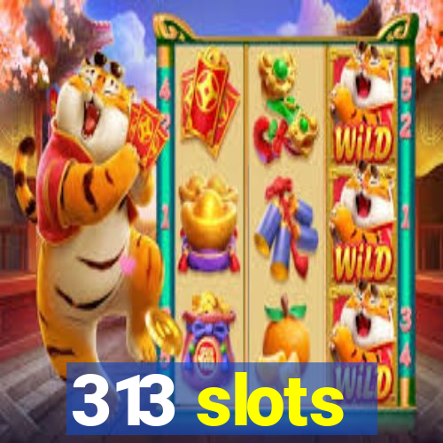 313 slots