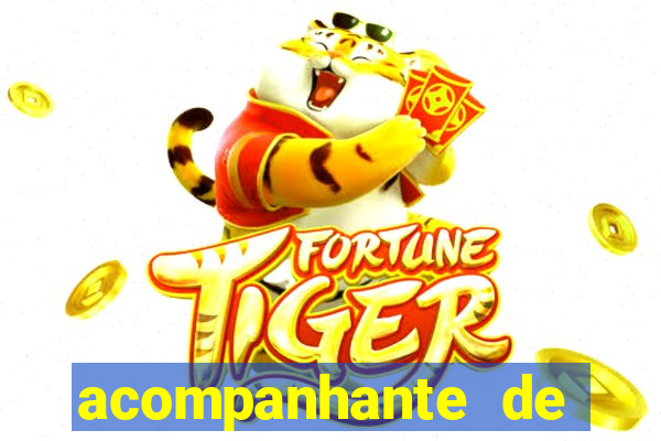 acompanhante de luxo agenda 31