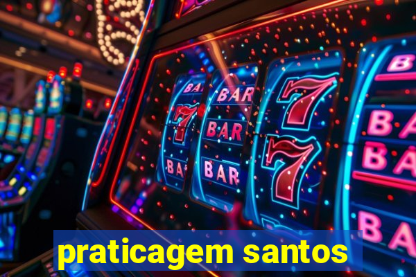 praticagem santos
