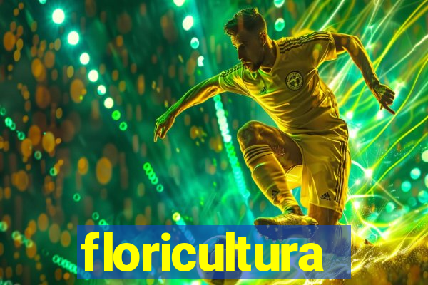 floricultura juazeiro bahia