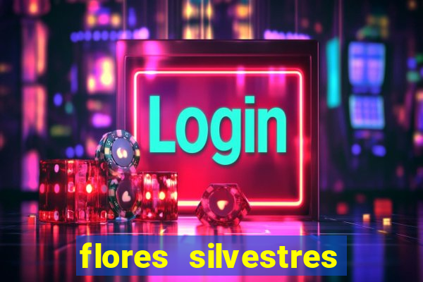 flores silvestres desbravadores desbravadores 25