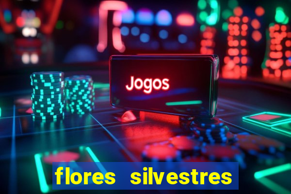 flores silvestres desbravadores desbravadores 25