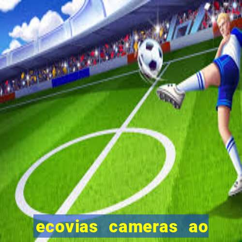 ecovias cameras ao vivo santos