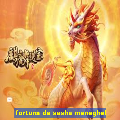 fortuna de sasha meneghel
