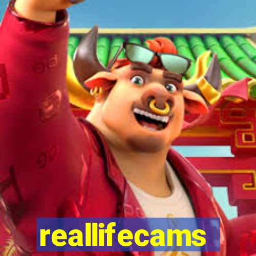 reallifecams