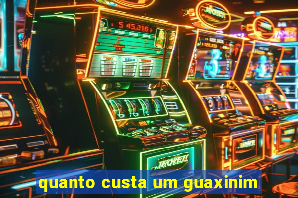 quanto custa um guaxinim