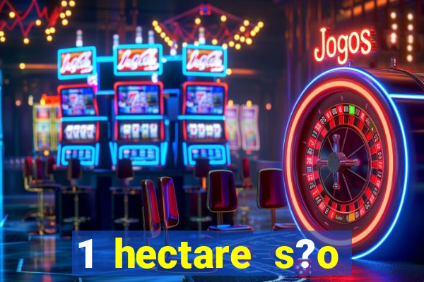 1 hectare s?o quantas tarefas na bahia