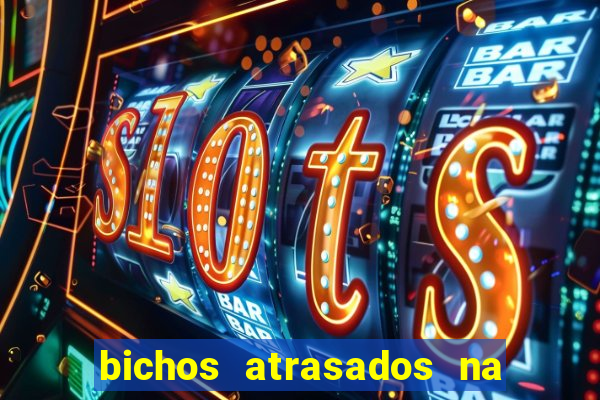 bichos atrasados na loteria federal