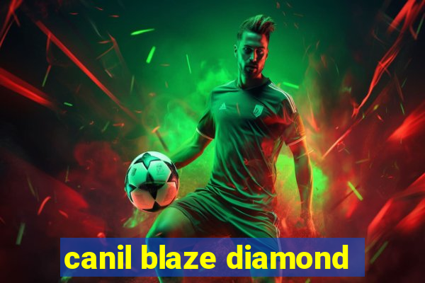 canil blaze diamond