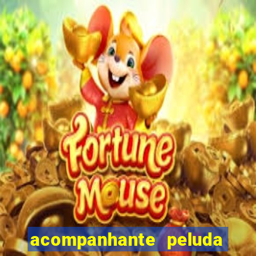 acompanhante peluda porto alegre